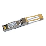 ไอบีเอ็ม 01FT777 25Gb SFP28 (RoCE)