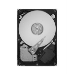 ไอบีเอ็ม 4013-2861 750GB SATA DRIVE
