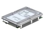 ซัน 540-6574 300GB 10000RPM Fibre Channel 2Gb/s 8MB Cache 3.5-Inch Hard